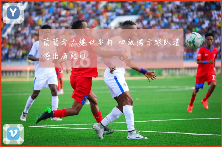 葡萄牙无缘世界杯 回放揭示球队遗憾出局经过